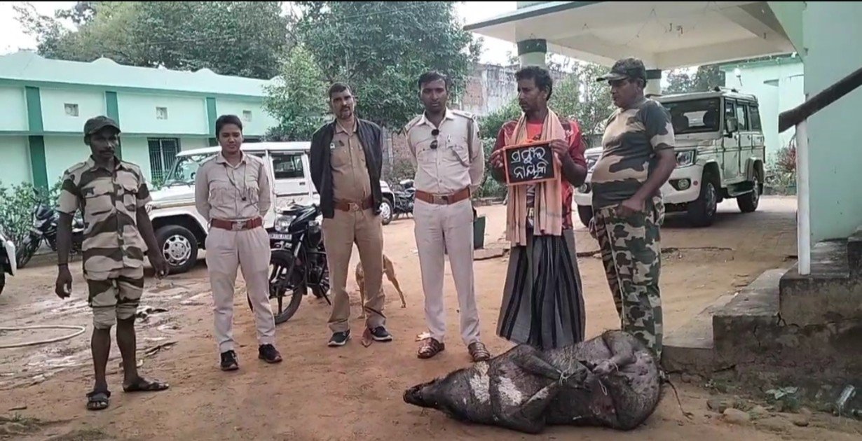 Wildlife poaching in Kudutai village being hit by power lines: Poachers arrested