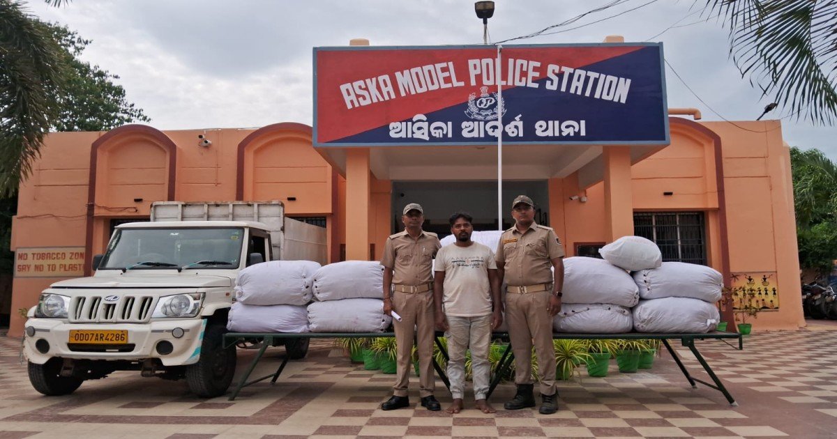 Aska police get big success: 4 quintals of 17 kg ganja seized, one arrested